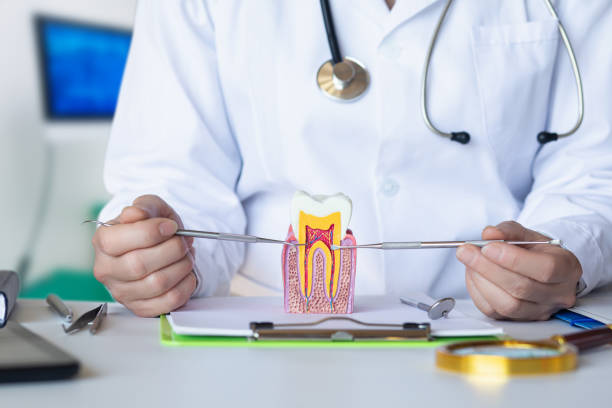 Best Emergency Dentist for Lost Fillings or Crowns in Rutherfordton, NC
